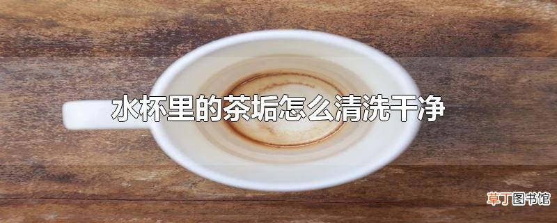 水杯里的茶垢怎么清洗干净