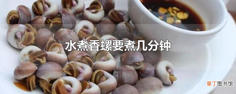 水煮香螺要煮几分钟