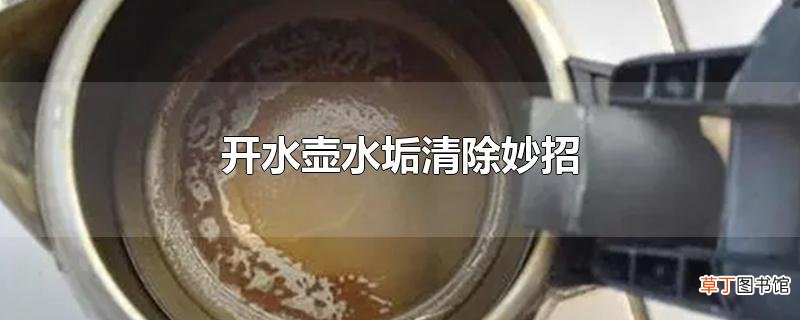 开水壶水垢清除妙招