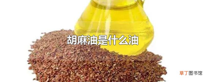 胡麻油是什么油