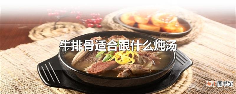 牛排骨适合跟什么炖汤