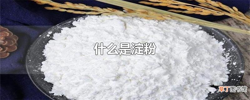 什么是淀粉