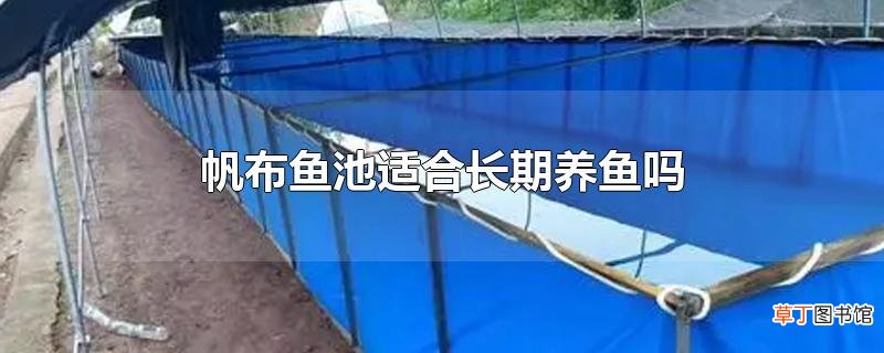 帆布鱼池适合长期养鱼吗