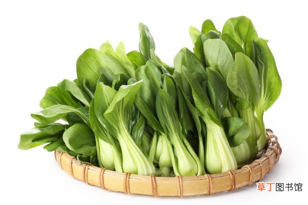 菠菜和鸡蛋能同食吗？同时的好处有哪些？