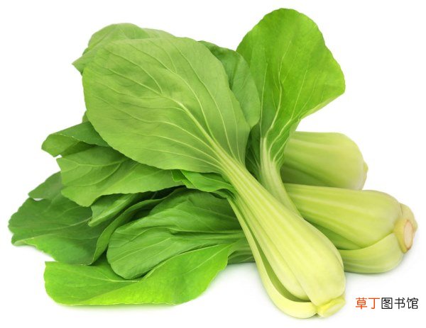 菠菜和鸡蛋能同食吗？同时的好处有哪些？
