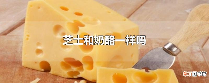 芝士和奶酪一样吗