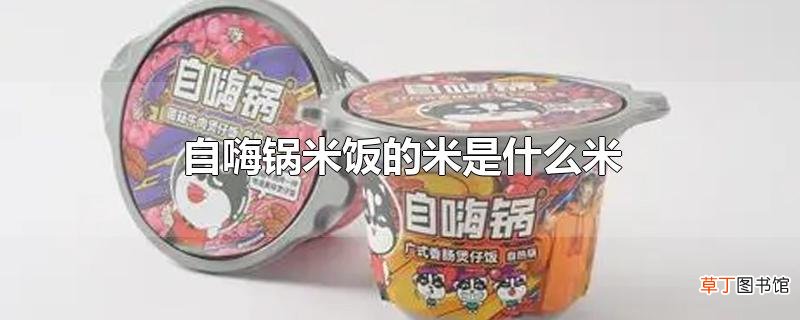 自嗨锅米饭的米是什么米
