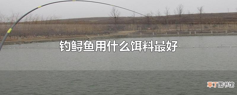 钓鲟鱼用什么饵料最好