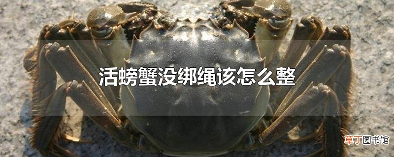 活螃蟹没绑绳该怎么整