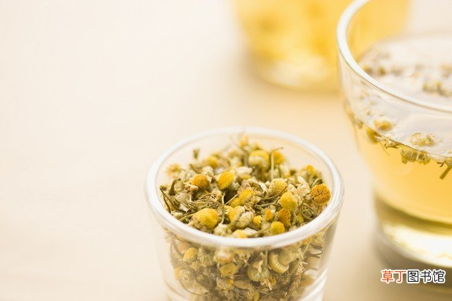 雪菊的食用功效以及方法,滋补也需谨慎食用