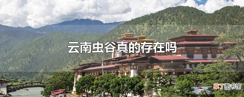 云南虫谷真的存在吗