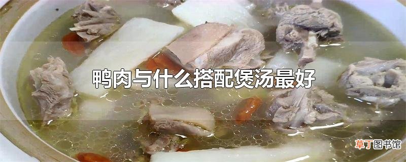 鸭肉与什么搭配煲汤最好