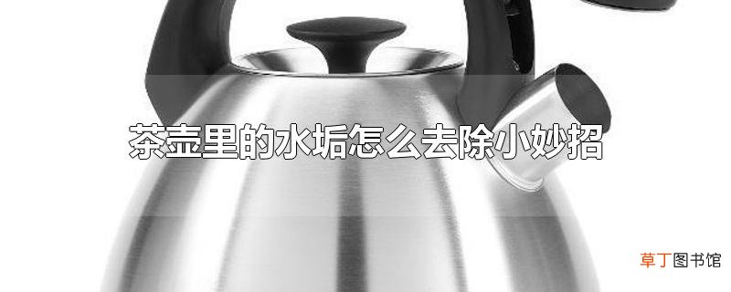 茶壶里的水垢怎么去除小妙招
