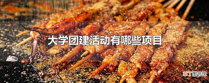 大学团建活动有哪些项目
