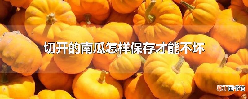 切开的南瓜怎样保存才能不坏