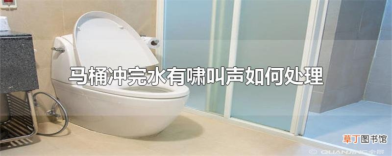 马桶冲完水有啸叫声怎么处理