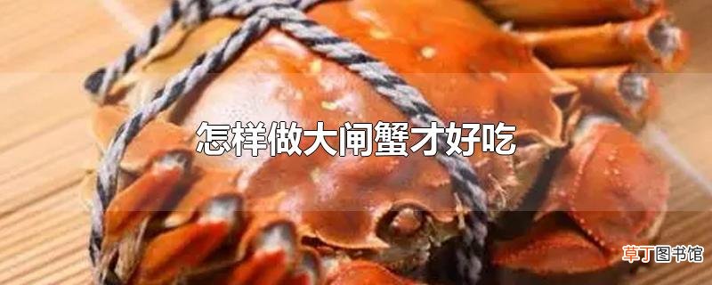 怎样做大闸蟹才好吃