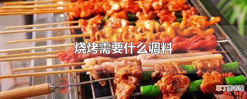 烧烤需要什么调料