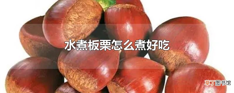 水煮板栗怎么煮好吃