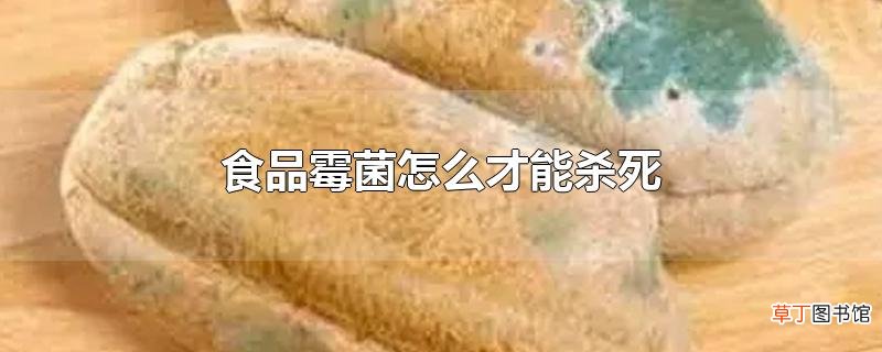 食品霉菌怎么才能杀死