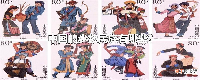 中国的少数民族有哪些?