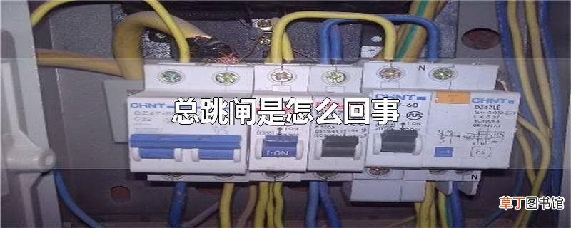 总跳闸是怎么回事