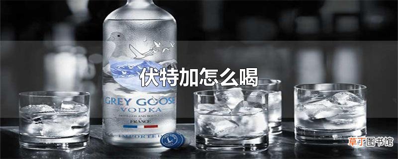 伏特加怎么喝