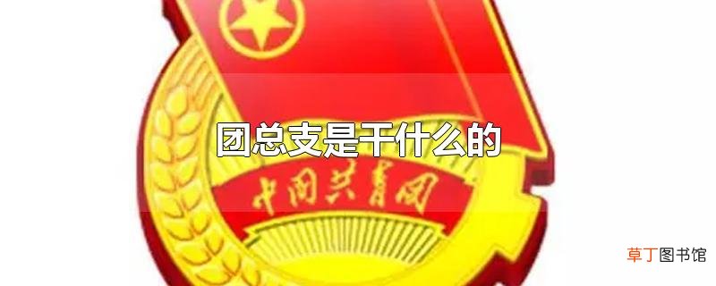 团总支是干什么的