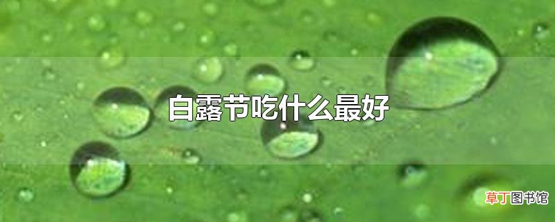 白露节吃什么最好