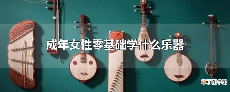 成年女性零基础学什么乐器