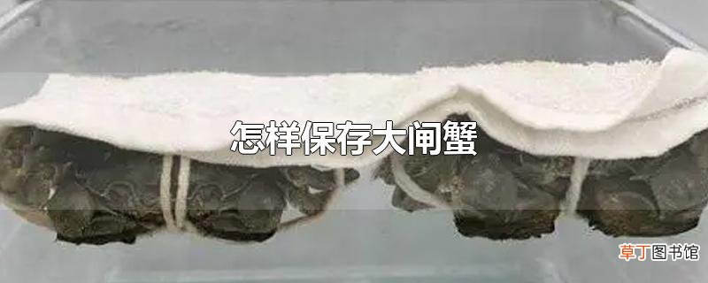 怎样保存大闸蟹