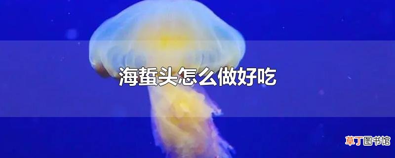 海蜇头怎么做好吃