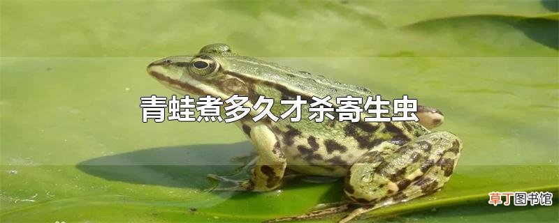 青蛙煮多久才杀寄生虫