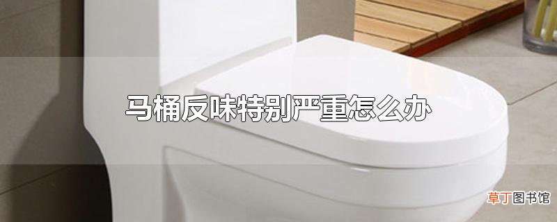 马桶反味特别严重怎么办
