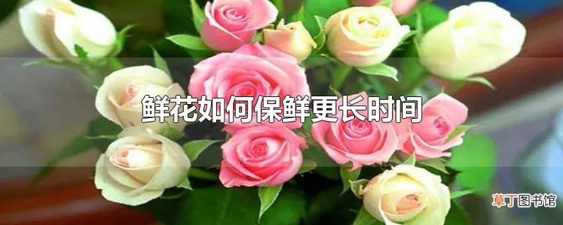 鲜花怎么保鲜更长时间