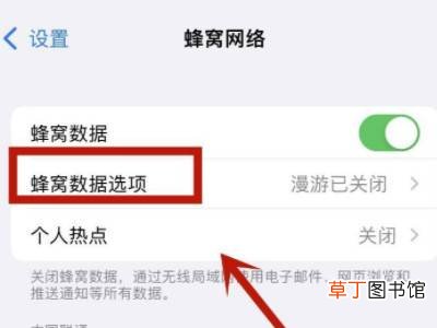 iphone13的5g开关在哪