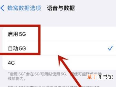 iphone13的5g开关在哪