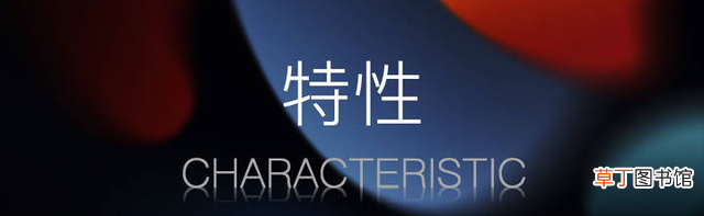 ipad第8代多少钱 ipad哪个型号性价比高