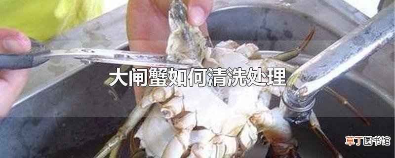大闸蟹怎么清洗处理
