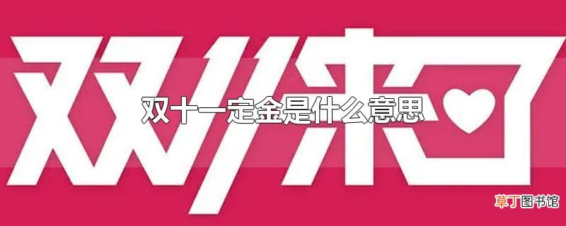 双十一定金是什么意思