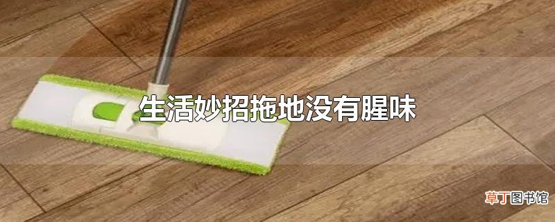 生活妙招拖地没有腥味