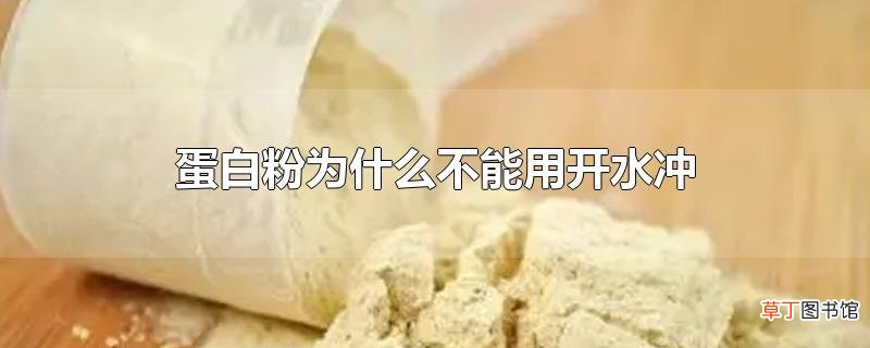 蛋白粉为什么不能用开水冲