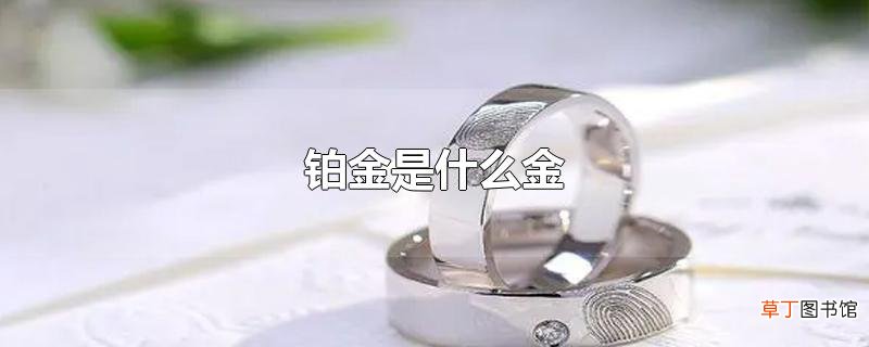 铂金是什么金