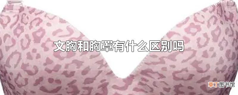文胸和胸罩有什么区别吗