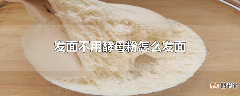 发面不用酵母粉怎么发面