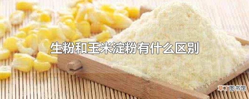 生粉和玉米淀粉有什么区别