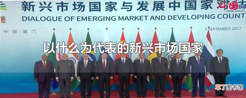 以什么为代表的新兴市场国家