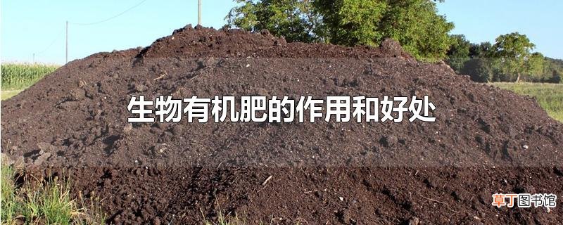 生物有机肥的作用和好处