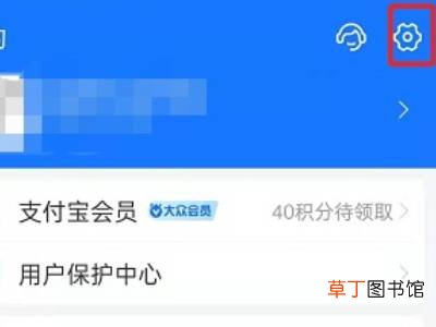 支付宝皮肤设置在哪里