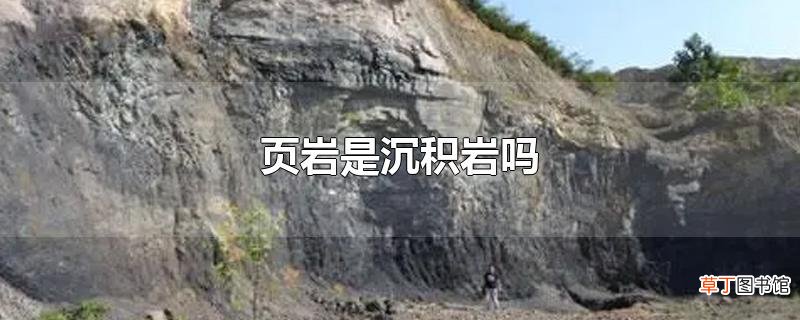 页岩是沉积岩吗